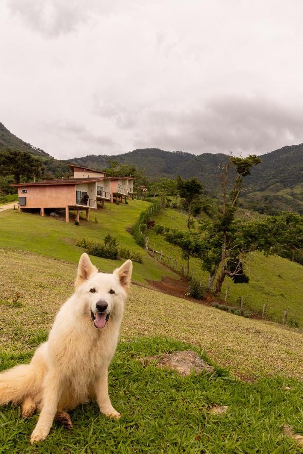 Pousada Terra Dos Passaros เซาเบนโตโดซาปูไค ภายนอก รูปภาพ