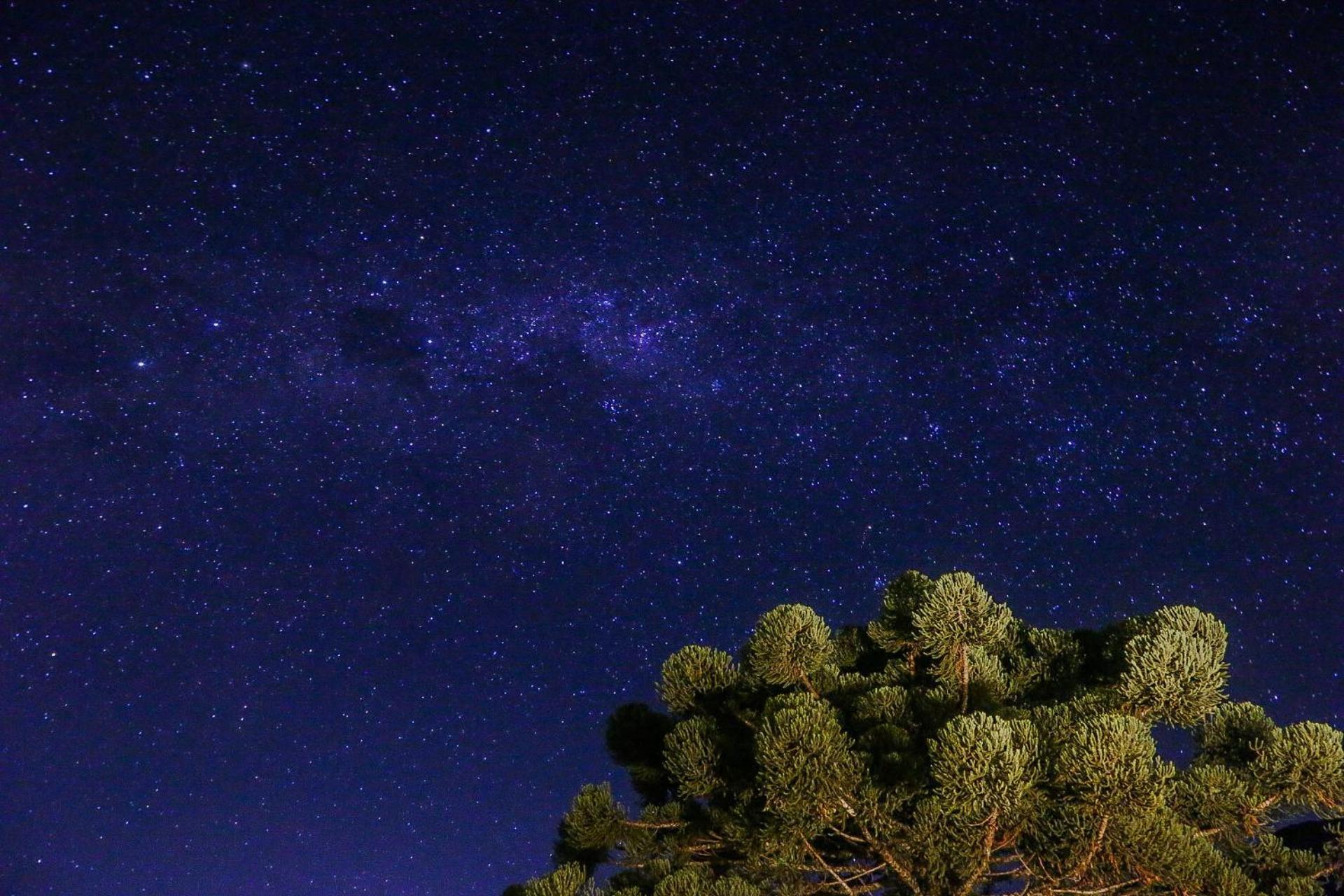 Pousada Terra Dos Passaros เซาเบนโตโดซาปูไค ภายนอก รูปภาพ